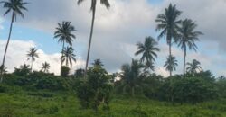 Indang Cavite Property
