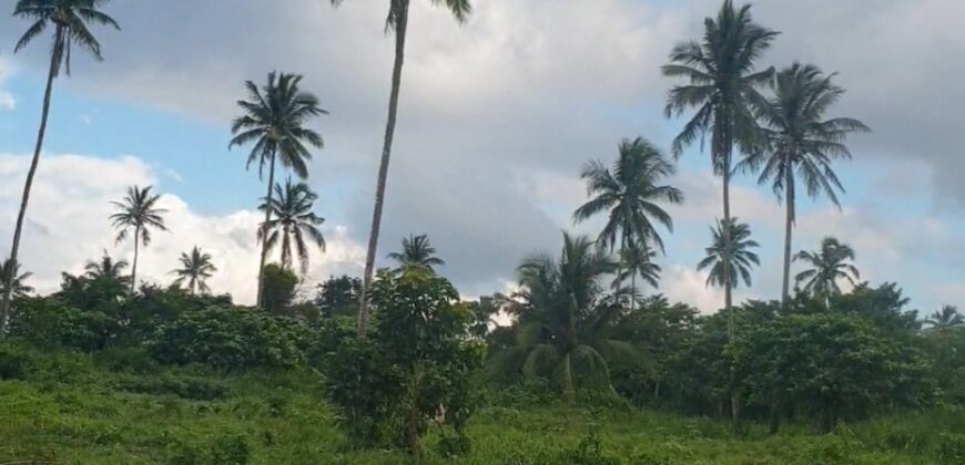 Indang Cavite Property
