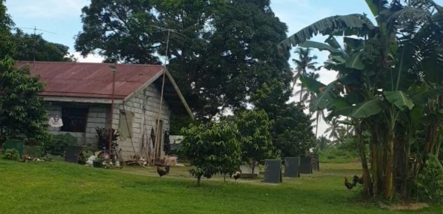 Indang Cavite Property