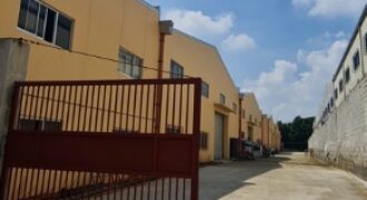 Batino Warehouse